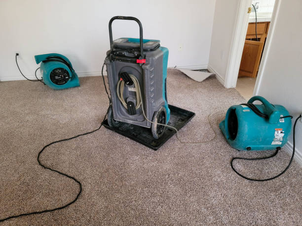 Best Water damage restoration mold remediation  in Hanscom Af, MA