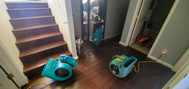 Best Local water damage restoration  in Hanscom Af, MA