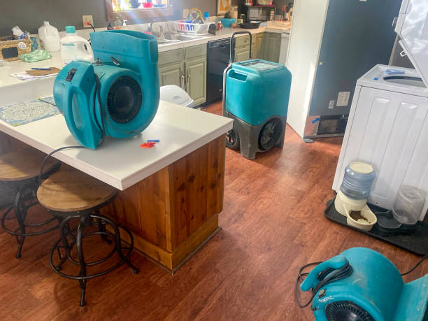 Best Water damage repair service  in Hanscom Af, MA