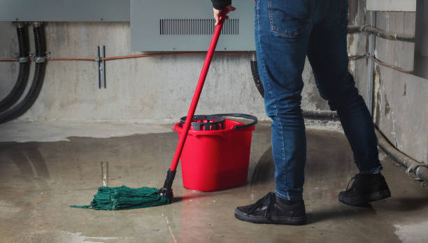 Best Mold removal after water damage  in Hanscom Af, MA