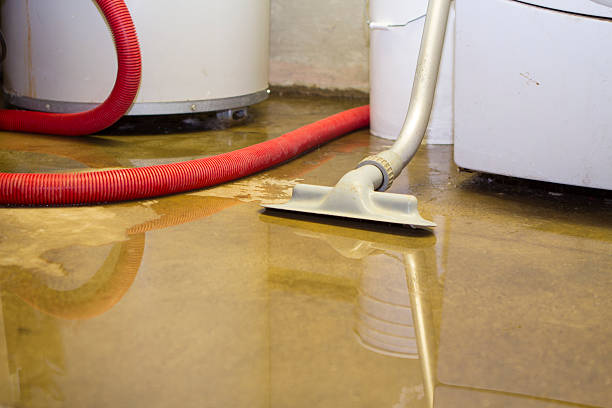 Best Carpet water damage restoration  in Hanscom Af, MA
