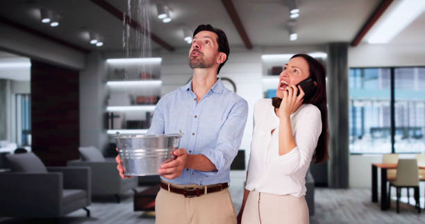 Best Mold removal after water damage  in Hanscom Af, MA