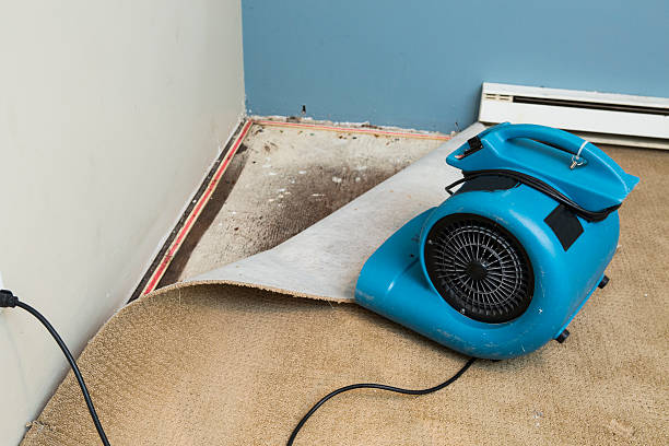 Best Ceiling water damage repair  in Hanscom Af, MA